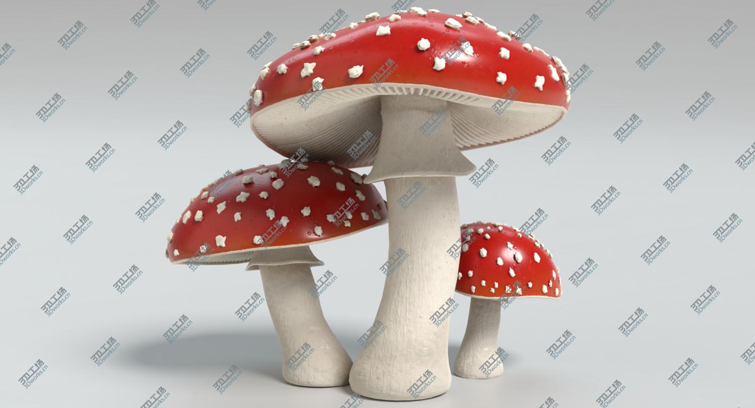 images/goods_img/202104091/3D Mushroom Collection/2.jpg